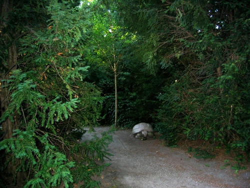 Skildpadde, Hans Scherfigs grav